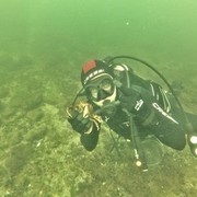 ����� ������ � ����� ���������