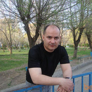  ,   Mr Ed, 41 ,   