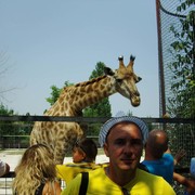 ���������� ������ ��������, ���� ������� ��������, 54 ����, ������������ ��� ������, ����� � ���������, c�������� ���������