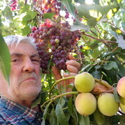  --,   , 65 ,   ,   , 
