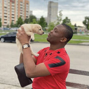 ���������� �����, ���� ������� Collins, 26 ���, ������������ ��� ����� � ���������, c�������� ���������