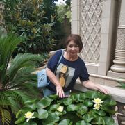  ,   , 65 ,     , c , 