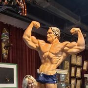 ���������� ������, ���� ������� ����, 33 ����, ������������ ��� ������, ����� � ���������