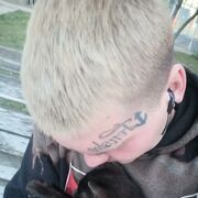  -,   , 33 ,   ,   