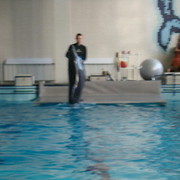 ���������� ������, ���� ������� �����, 47 ���, ������������ ��� ������, ����� � ���������, c�������� ���������