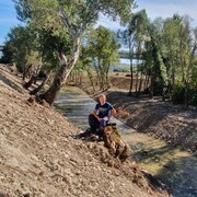 ���������� �����������, ���� ������� �������, 43 ����, ������������ ��� ������, ����� � ���������, c�������� ���������