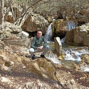 ���������� �����������, ���� ������� ���������, 38 ���, ������������ ��� ������, ����� � ���������