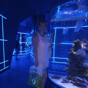 ���������� ����, ���� ������� ��������, 32 ����, ������������ ��� ������, ����� � ���������, c�������� ���������