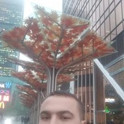 ���������� ������, ���� ������� ����� �, 38 ���, ������������ ��� ������, ����� � ���������, c�������� ���������