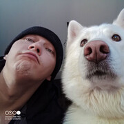 ���������� ���������, ���� ������� ������, 37 ���, ������������ 