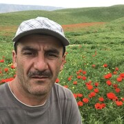  ,   Suhrob, 50 ,   ,   
