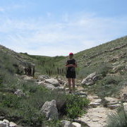 ���������� ����, ���� ������� Cerg, 49 ���, ������������ ��� ������