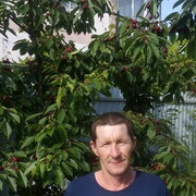 ���������� ������-��-����, ���� ������� �����, 49 ���, ������������ ��� ������, ����� � ���������, c�������� ���������, ���������