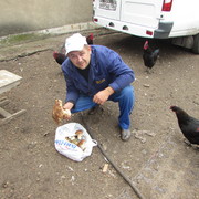 ���������� �������, ���� ������� �������, 41 ���, ������������ ��� ������, ����� � ���������, c�������� ���������, ���������