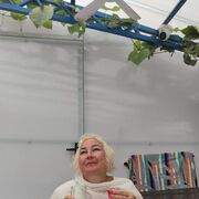  ,   , 52 ,   c 