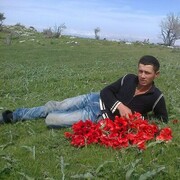  ,   , 29 ,   ,   