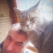 ���������� �����-���������, ���� ������� ������, 60 ���, ������������ ��� ����� � ���������, c�������� ���������