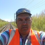  ,   GOLD LION, 51 ,   ,   , c 