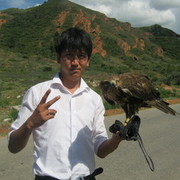 ���������� �������, ���� ������� �����, 38 ���, ������������ ��� ������, ����� � ���������, c�������� ���������