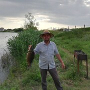   ,  FIN, 43