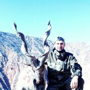  Zywiec,   Ali, 31 ,   ,   , c , 