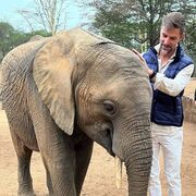 ���������� ������, ���� ������� ������, 37 ���, ������������ ��� ������, ����� � ���������, c�������� ���������, ���������