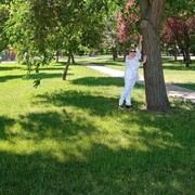  ,   , 64 ,   ,   