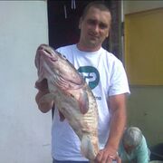  ,   , 48 ,     , c 