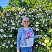  Sysma,  , 63