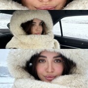 ���������� �������������-����������, ����