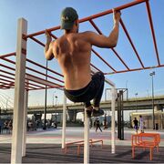 ���������� ������, ���� ������� ���������, 28 ���, ������������ ��� ������, ����� � ���������