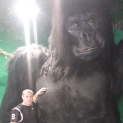 ���������� �����������, ���� ������� �������, 41 ���, ������������ ��� ������, ���������