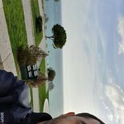 ���������� �������, ���� ������� �������, 38 ���, ������������ ��� ������, ����� � ���������