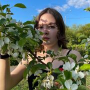 ���������� �����-���������, ����