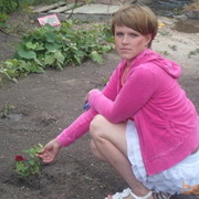 ���������� ���������, ���� ������� ��������, 38 ���, ������������ ��� ������, ����� � ���������, c�������� ���������