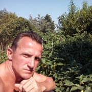 ���������� �����������, ���� ������� �������, 43 ����, ������������ 