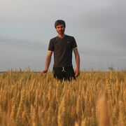 ���������� ������, ���� ������� �������, 35 ���, ������������ ��� ������, ����� � ���������, c�������� ���������, ���������