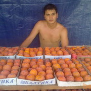   ,   Solik, 36 ,     , c 