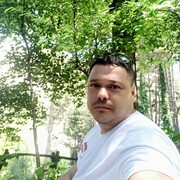  ,  , 43