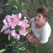  ,   , 64 ,   ,   , c 