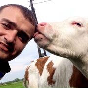 ���������� ������, ���� ������� ���������, 37 ���, ������������ ��� ������, ����� � ���������, c�������� ���������