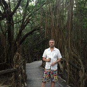  ,   , 43 ,   