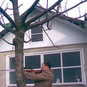 ���������� ���������, ������� leon, 56