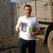   ,   , 51 ,   ,   , c , 