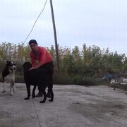  ,   Ruslik, 29 ,   ,   