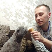 ���������� ������, ���� ������� ������, 36 ���, ������������ ��� ������, ����� � ���������