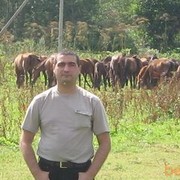  -,   , 43 ,     , c 