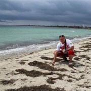 ���������� ���������������, ���� ������� �����, 44 ����, ������������ ��� ������, ����� � ���������, c�������� ���������