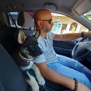 ���������� �������, ���� ������� ���, 44 ����, ������������ ��� ������, ����� � ���������, c�������� ���������