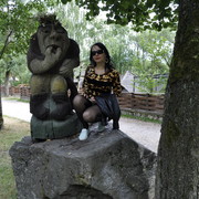  ,   , 43 ,  